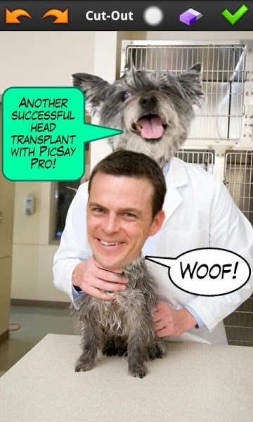 aplikasi-picsay-pro.jpg